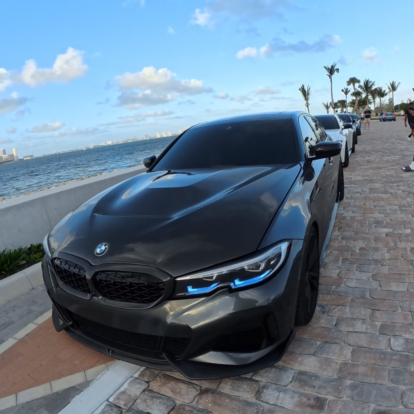 Carbon Fiber Grill- G20 3 Series Pre-LCI